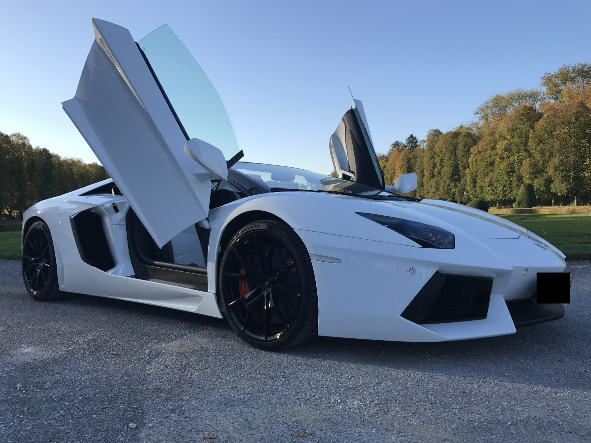 aventador
